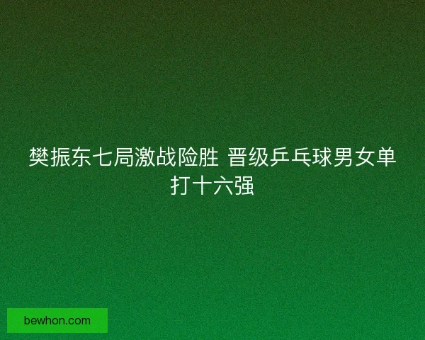 樊振东七局激战险胜 晋级乒乓球男女单打十六强